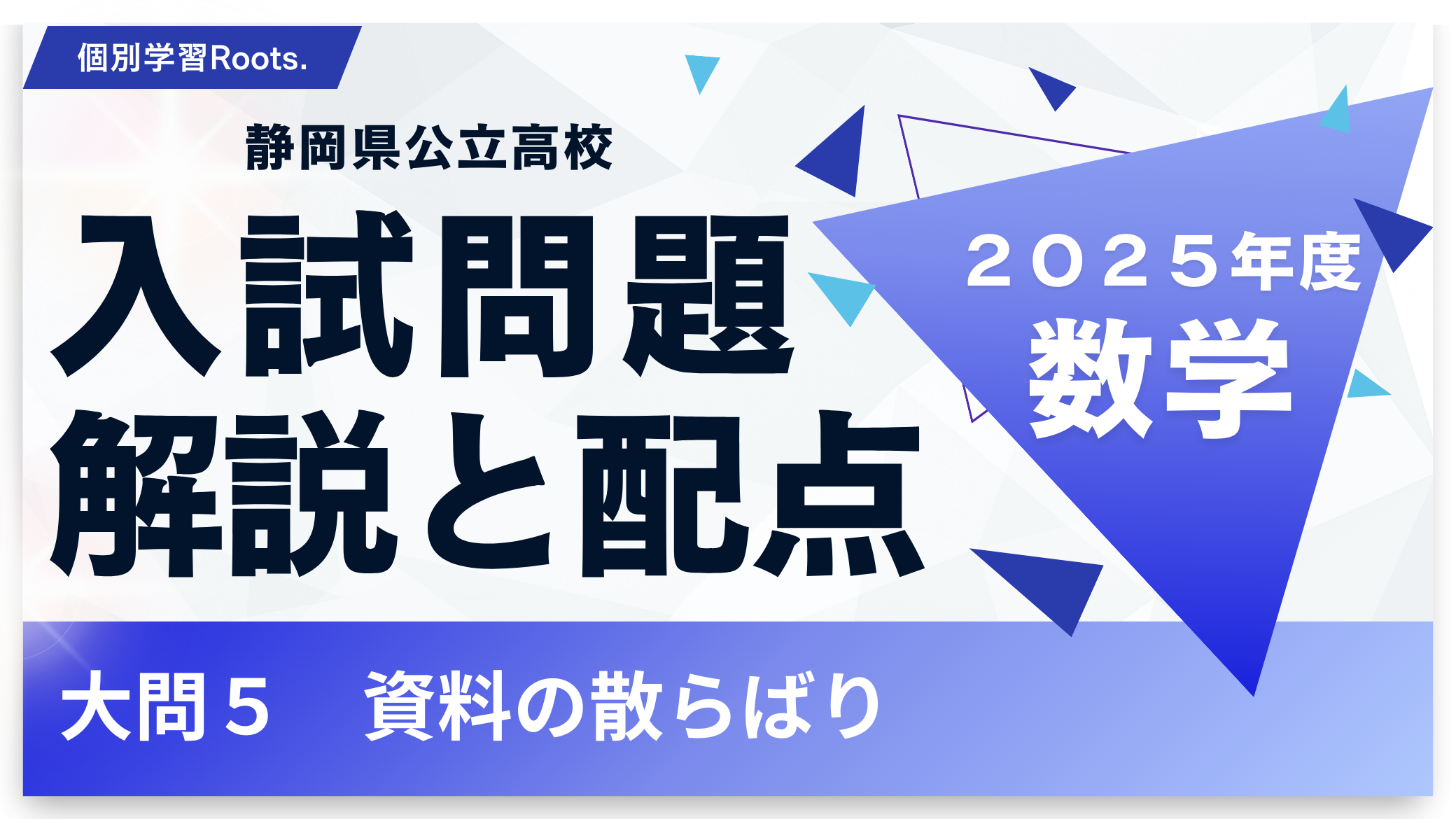 塾講師オリジナル数学解説 全問動画付 静岡 公立高校入試 2022